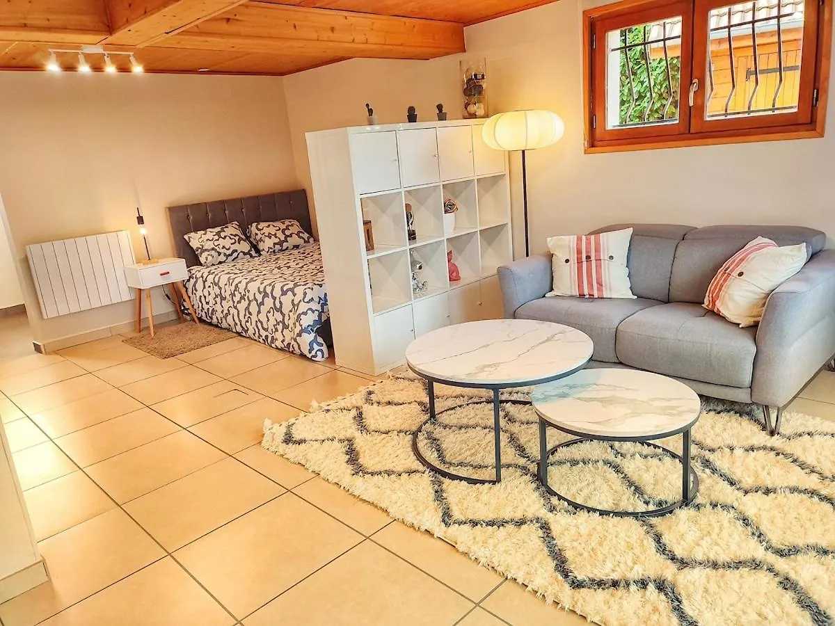 Studio Cosy Au Coeur Des Alpes Arenthon